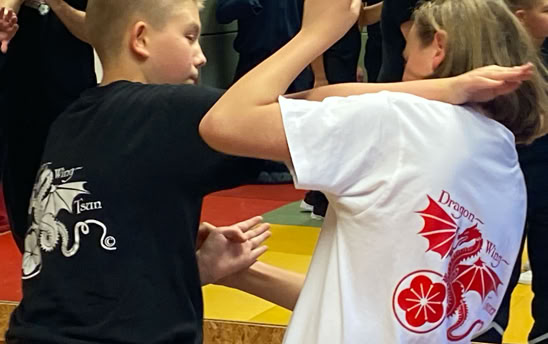 Kostenloses Stock Foto zu aktiver lebensstil, armtraining, athletische frau